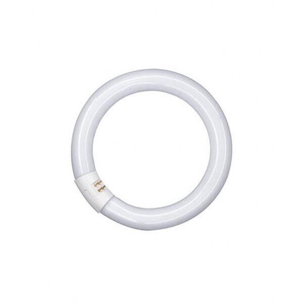 Mejor precio para OSRAM TUBO CIRCULAR L 22W/840. Desde nuestra tienda a tu casa. Envío a todo España